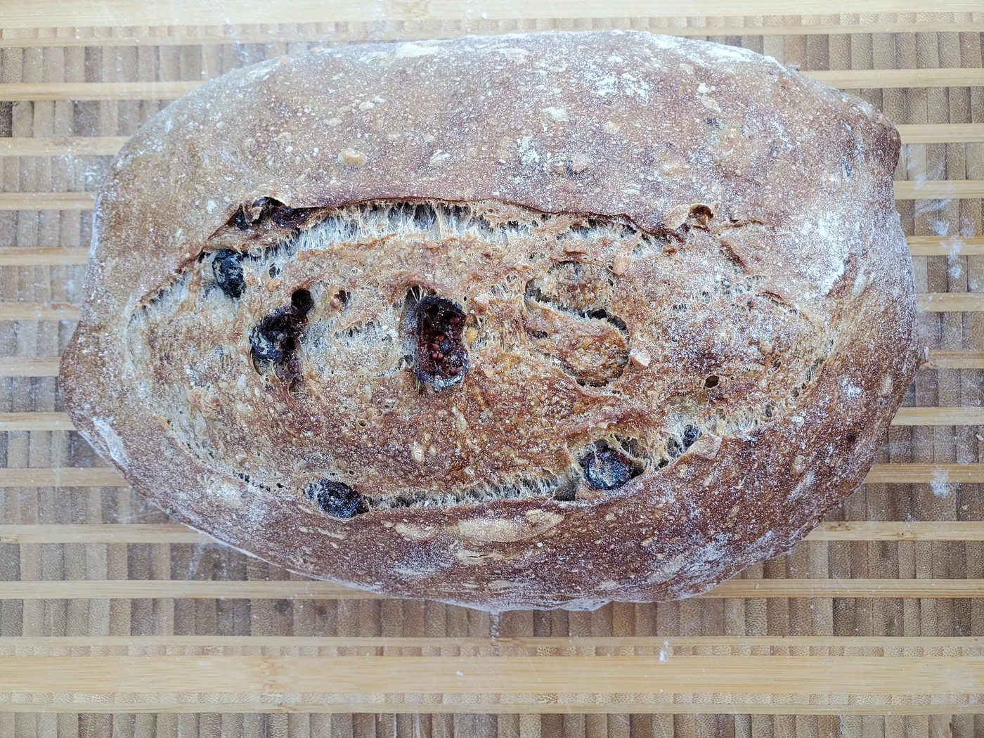 Cranberry walnut sourdough loaf studded with dried cranberries and walnuts